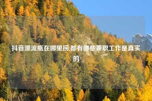 抖音漂流瓶在哪里捞,都有哪些兼职工作是真实的