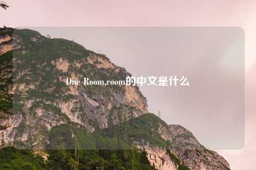 One Room,room的中文是什么