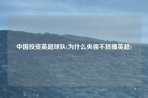 中国投资英超球队(为什么央视不转播英超)