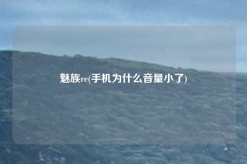 魅族re(手机为什么音量小了)