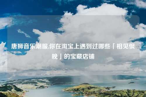 唐狮音乐潮服,你在淘宝上遇到过哪些「相见恨晚」的宝藏店铺