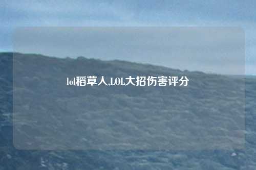 lol稻草人,LOL大招伤害评分