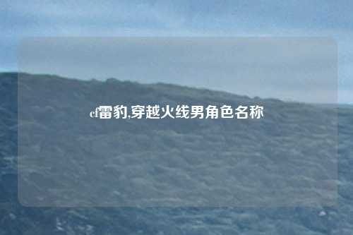 cf雷豹,穿越火线男角色名称