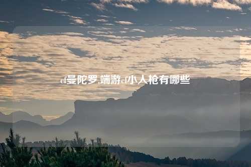 cf曼陀罗,端游cf小人枪有哪些