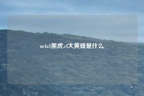 m4a1黑虎,cf大黄蜂是什么