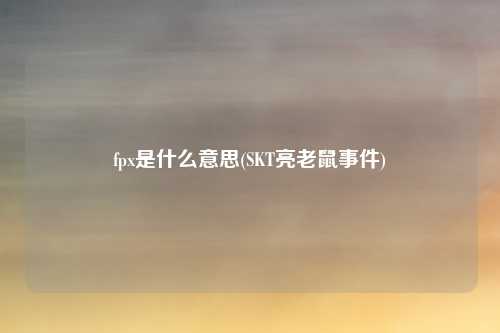 fpx是什么意思(SKT亮老鼠事件)