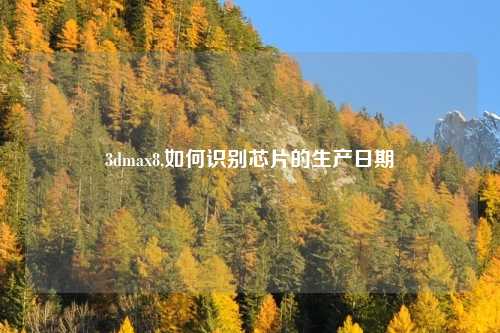 3dmax8,如何识别芯片的生产日期