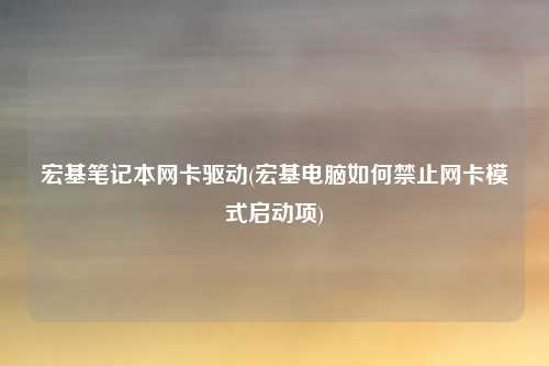 宏基笔记本网卡驱动(宏基电脑如何禁止网卡模式启动项)