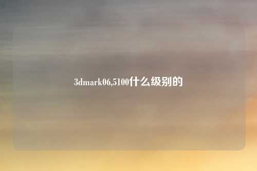 3dmark06,5100什么级别的