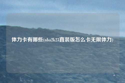 体力卡有哪些(nba2k23直装版怎么卡无限体力)