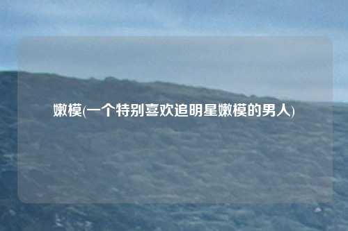 嫩模(一个特别喜欢追明星嫩模的男人)