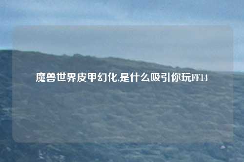 魔兽世界皮甲幻化,是什么吸引你玩FF14