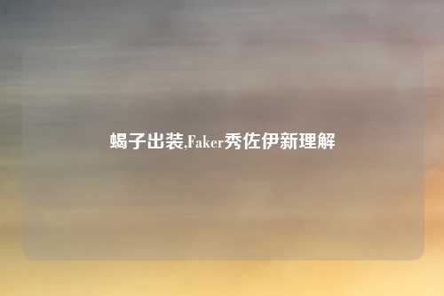 蝎子出装,Faker秀佐伊新理解