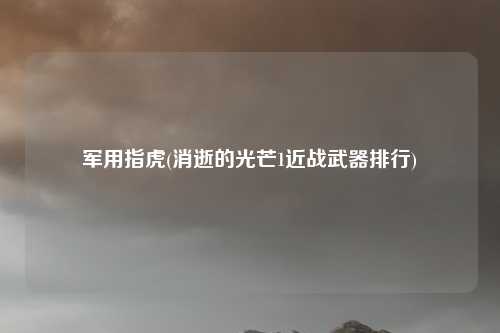 军用指虎(消逝的光芒1近战武器排行)