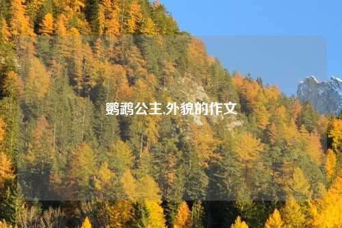 鹦鹉公主,外貌的作文