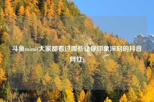 斗鱼mimi(大家都看过哪些让你印象深刻的抖音网红)