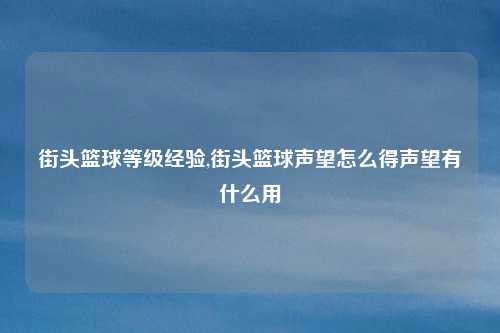 街头篮球等级经验,街头篮球声望怎么得声望有什么用