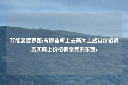万能器菠萝蜜(有哪些听上去高大上感觉价格很贵实际上价格很亲民的东西)