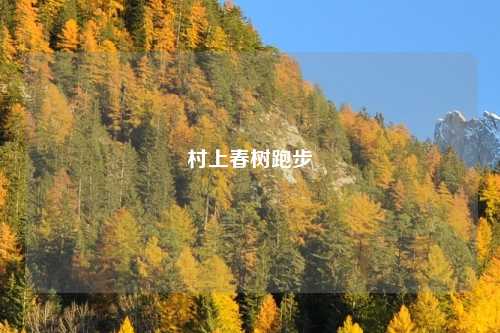 村上春树跑步