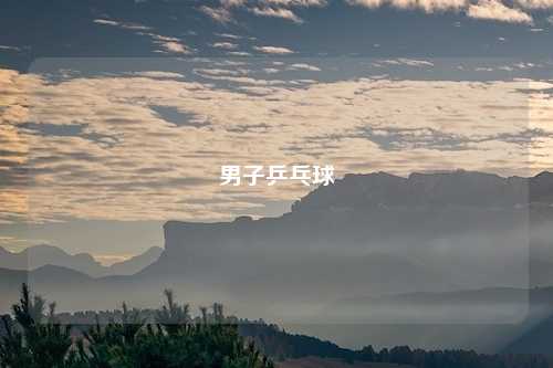 男子乒乓球