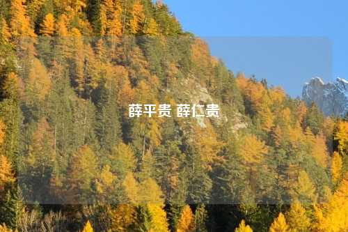 薛平贵 薛仁贵