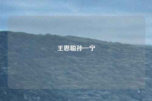 王思聪孙一宁