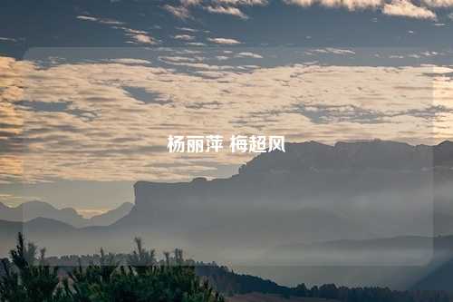 杨丽萍 梅超风