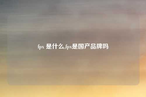 fpx 是什么,fpx是国产品牌吗