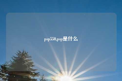 psp550,psp是什么