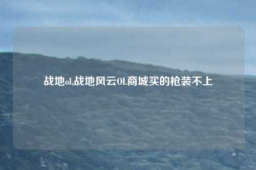战地ol,战地风云OL商城买的枪装不上