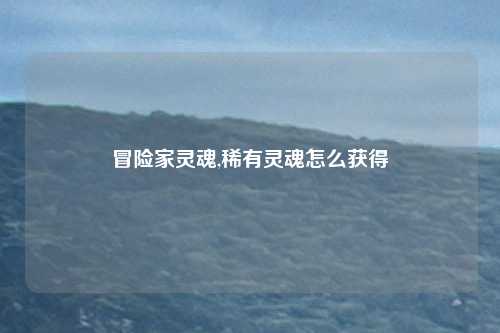 冒险家灵魂,稀有灵魂怎么获得