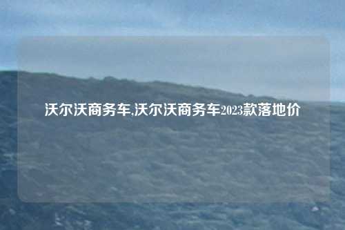 沃尔沃商务车,沃尔沃商务车2023款落地价