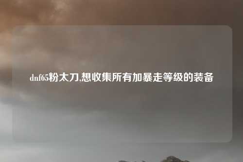 dnf65粉太刀,想收集所有加暴走等级的装备