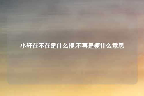 小轩在不在是什么梗,不再是梗什么意思