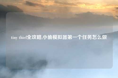 tiny thief全攻略,小偷模拟器第一个任务怎么做