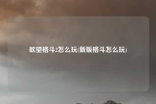 欲望格斗2怎么玩(新版格斗怎么玩)