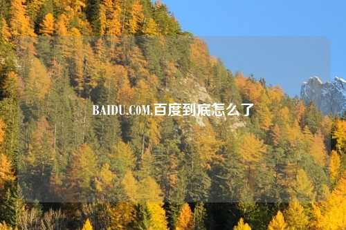 BAIDU.C0M,百度到底怎么了