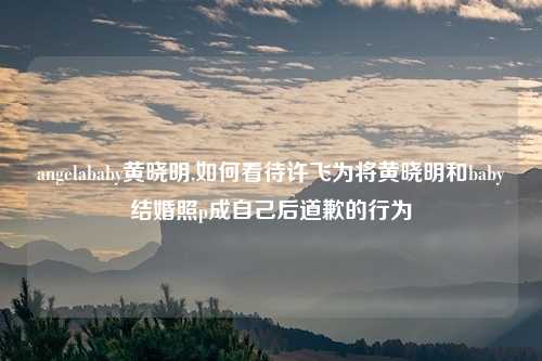 angelababy黄晓明,如何看待许飞为将黄晓明和baby结婚照p成自己后道歉的行为