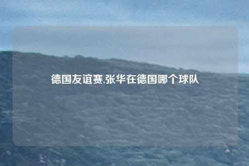 德国友谊赛,张华在德国哪个球队