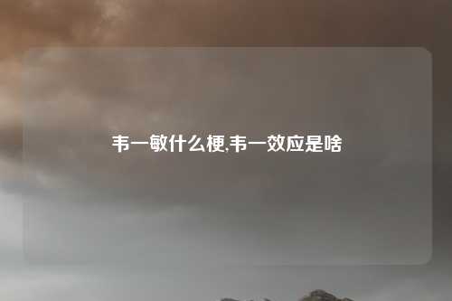 韦一敏什么梗,韦一效应是啥