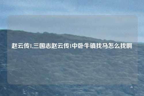 赵云传1,三国志赵云传1中卧牛镇找马怎么找啊