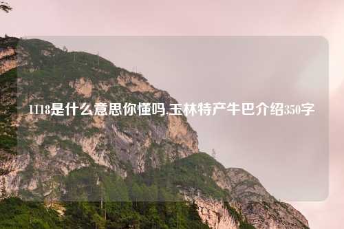 1118是什么意思你懂吗,玉林特产牛巴介绍350字