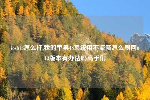 ios613怎么样,我的苹果4S系统用不流畅怎么刷回613版本有办法吗高手们