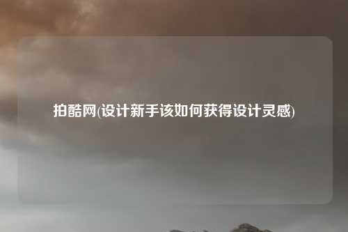 拍酷网(设计新手该如何获得设计灵感)