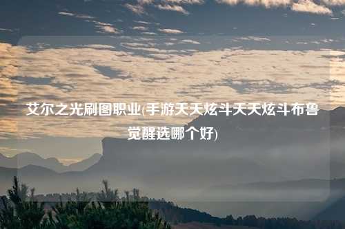 艾尔之光刷图职业(手游天天炫斗天天炫斗布鲁觉醒选哪个好)