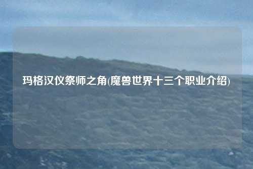 玛格汉仪祭师之角(魔兽世界十三个职业介绍)