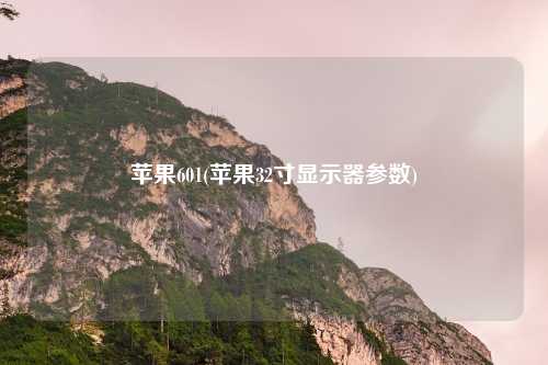 苹果601(苹果32寸显示器参数)