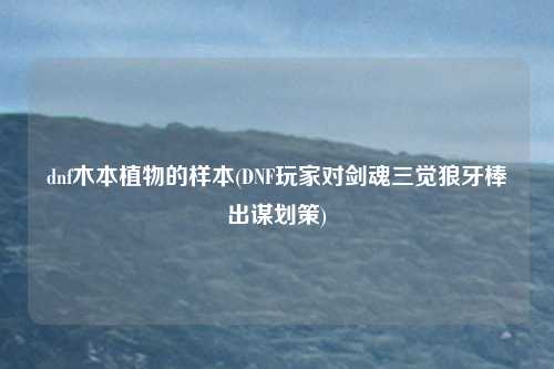 dnf木本植物的样本(DNF玩家对剑魂三觉狼牙棒出谋划策)
