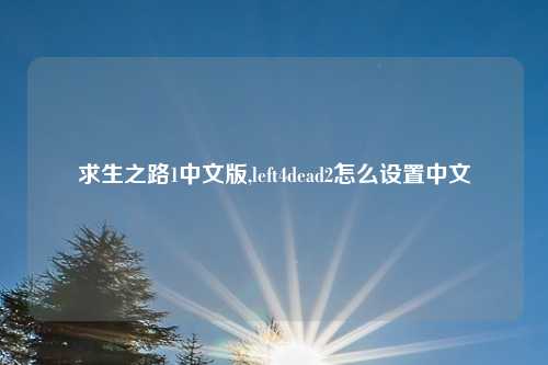 求生之路1中文版,left4dead2怎么设置中文