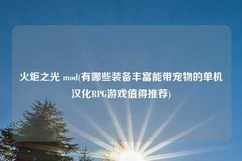 火炬之光 mod(有哪些装备丰富能带宠物的单机汉化RPG游戏值得推荐)